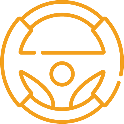 Erfahrene Fahrlehrer